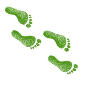 How to Become Carbon Neutral as an Individual.