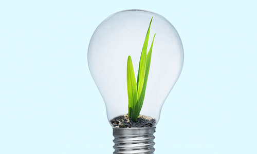 Carbon Credit Capital