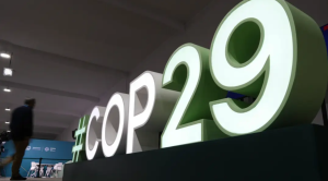 COP29 conference emblem and international carbon credit trading policy